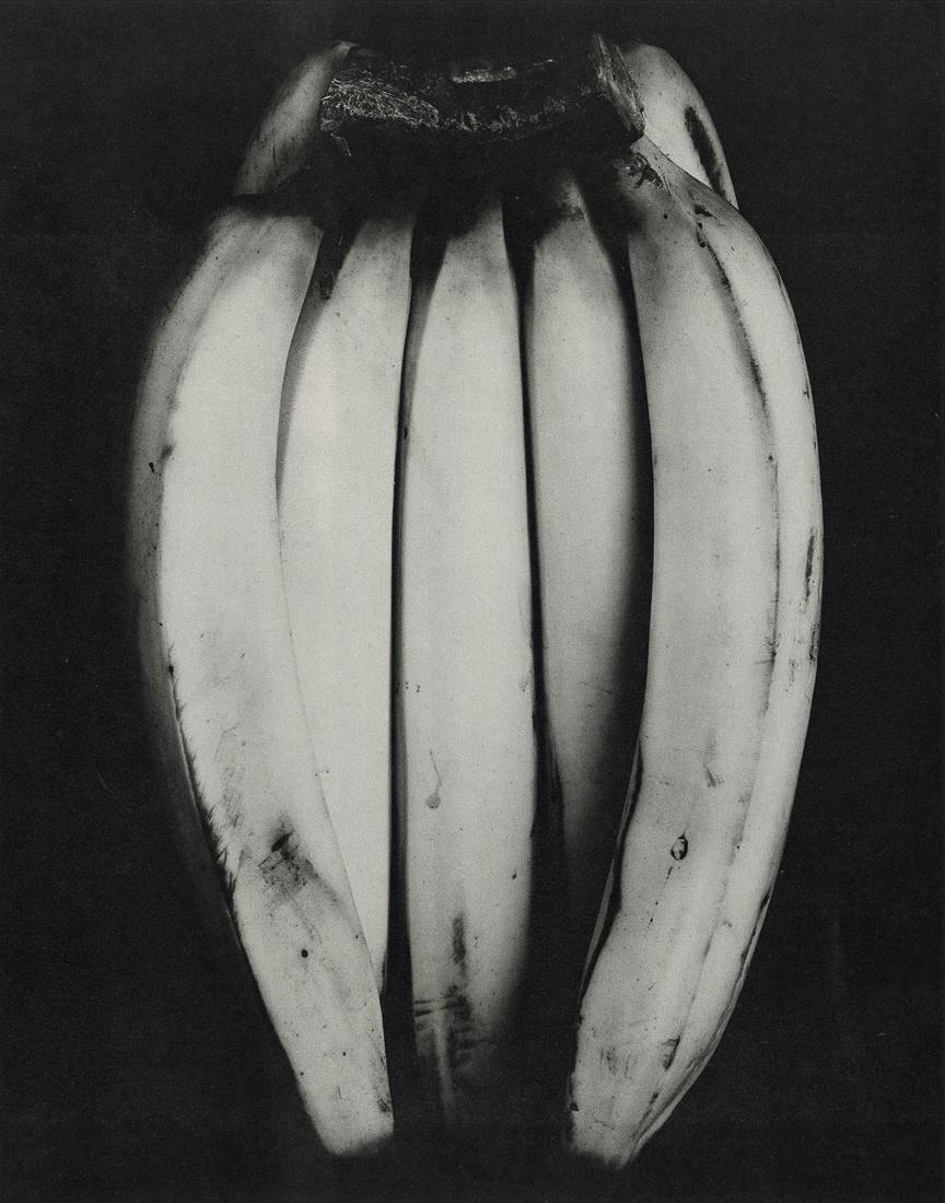 EDWARD WESTON - Bananas, 1930 (1 of 1)