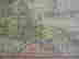 item-128172879=3