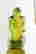 item-128181713=7