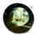 item-128181726=3