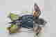 item-128181730=4