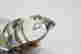 item-128181730=5