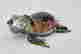 item-128181730=9