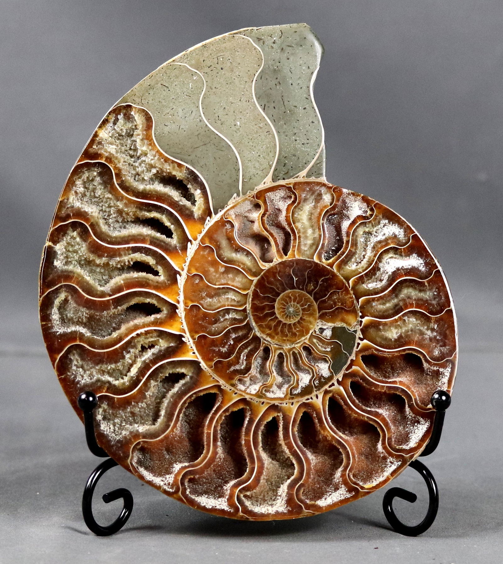 Finest quality ammonite slice with cristal clusters on elegant iron stand (1 of 3)