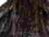 item-128648152=2