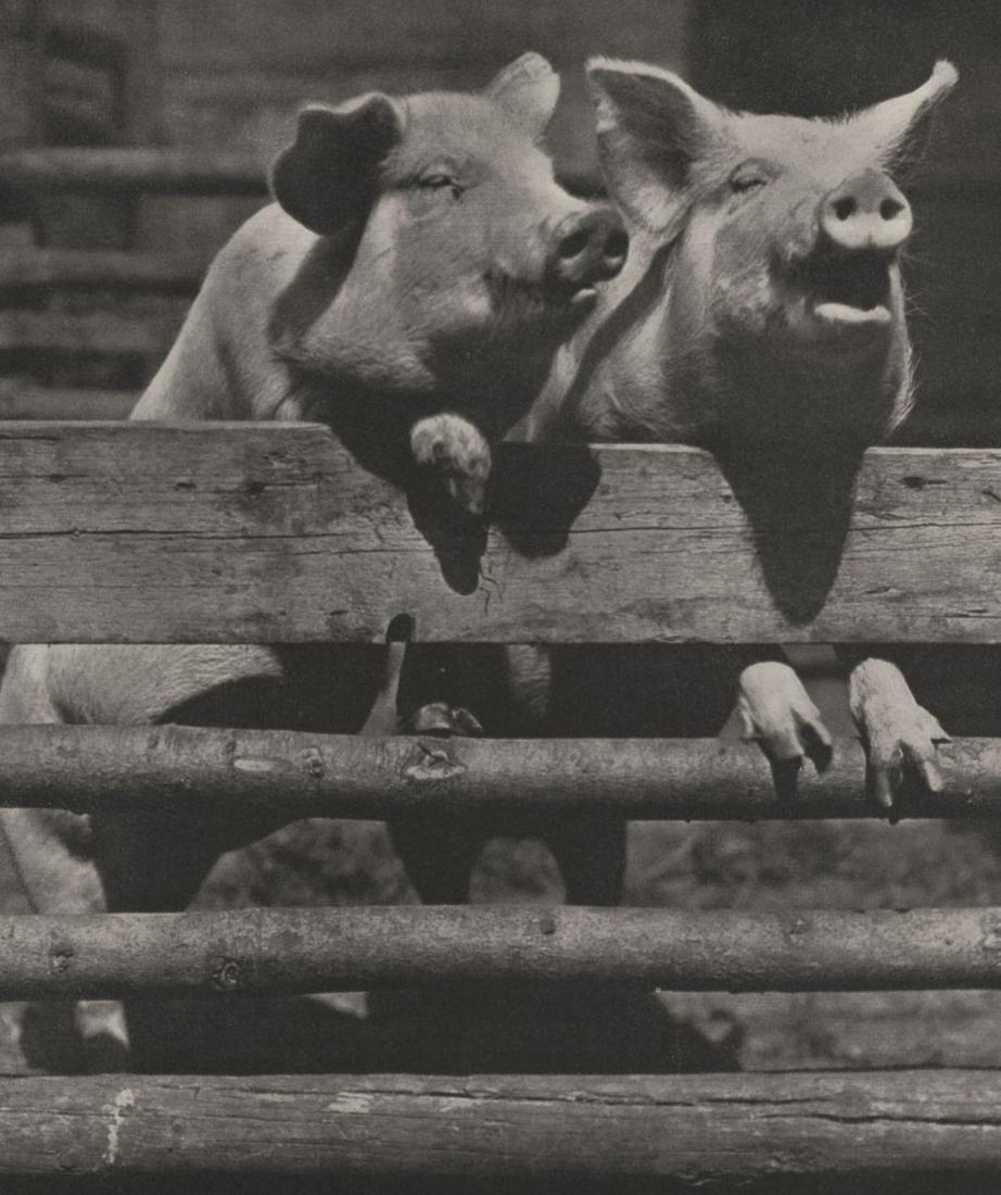 OSWALD ELBL - Friends, Germany, 1930s (1 of 1)