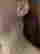 item-128729190=2
