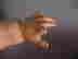 item-128731293=10