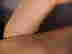 item-128731293=11