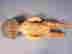 item-128731302=7