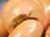 item-128731302=9