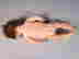 item-128731304=10