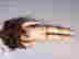 item-128731309=9