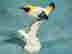 item-128731314=5