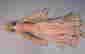 item-128731337=5
