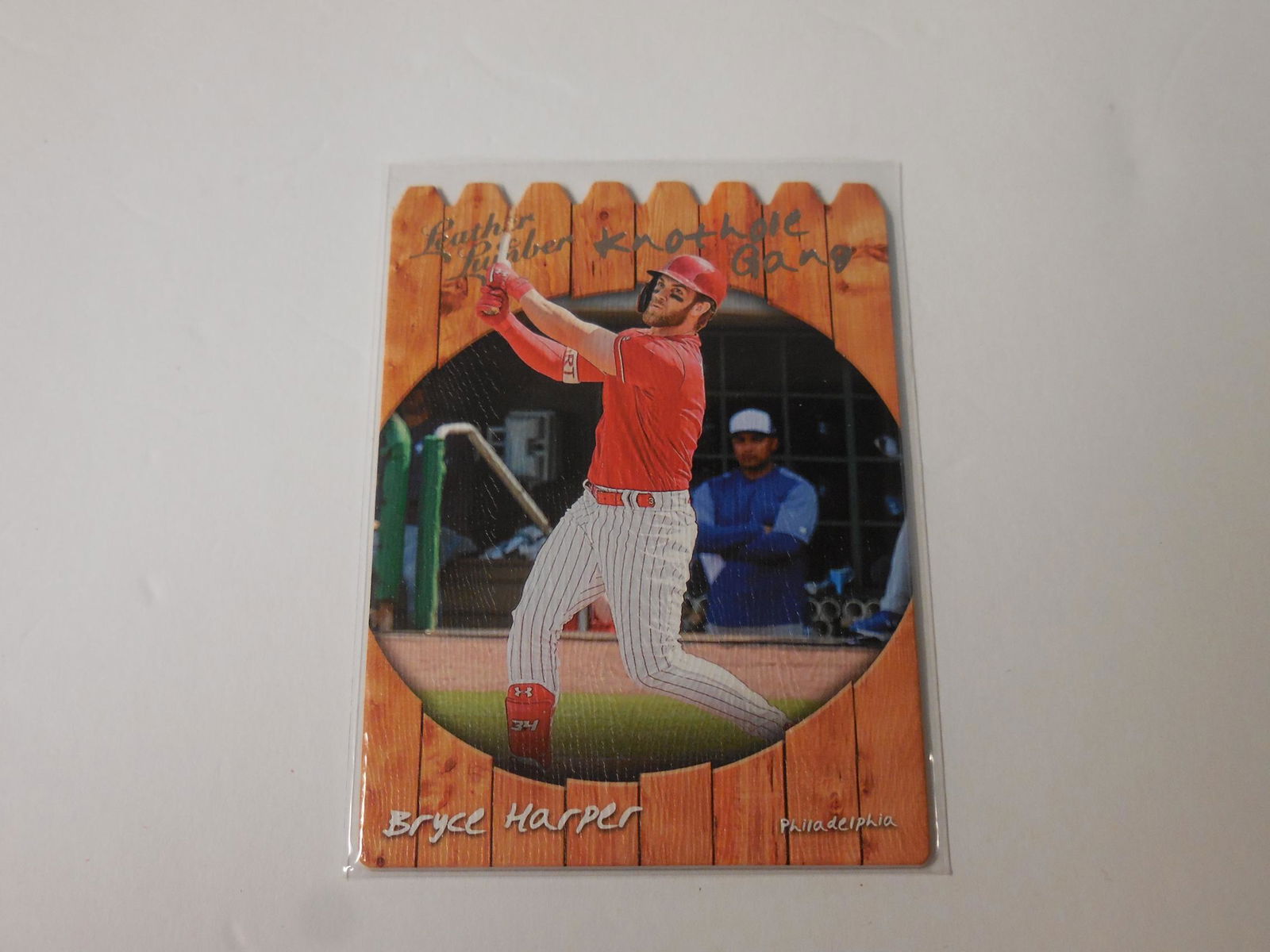 19 PANINI LEATHER LUMBER BRYCE HARPER (1 of 2)