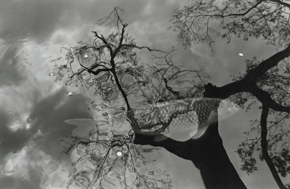 LEE FRIEDLANDER - Kyoto, 1981: Artist: Lee Friedlander Title: Kyoto, 1981 Medium: Photo Litho, 1989, USA Dimensions: 9.4x6.15" Description: Heat Wax Mounted on 11x14" Conservation Board Artist Bio: Lee Friedlander (1934) is an Ame