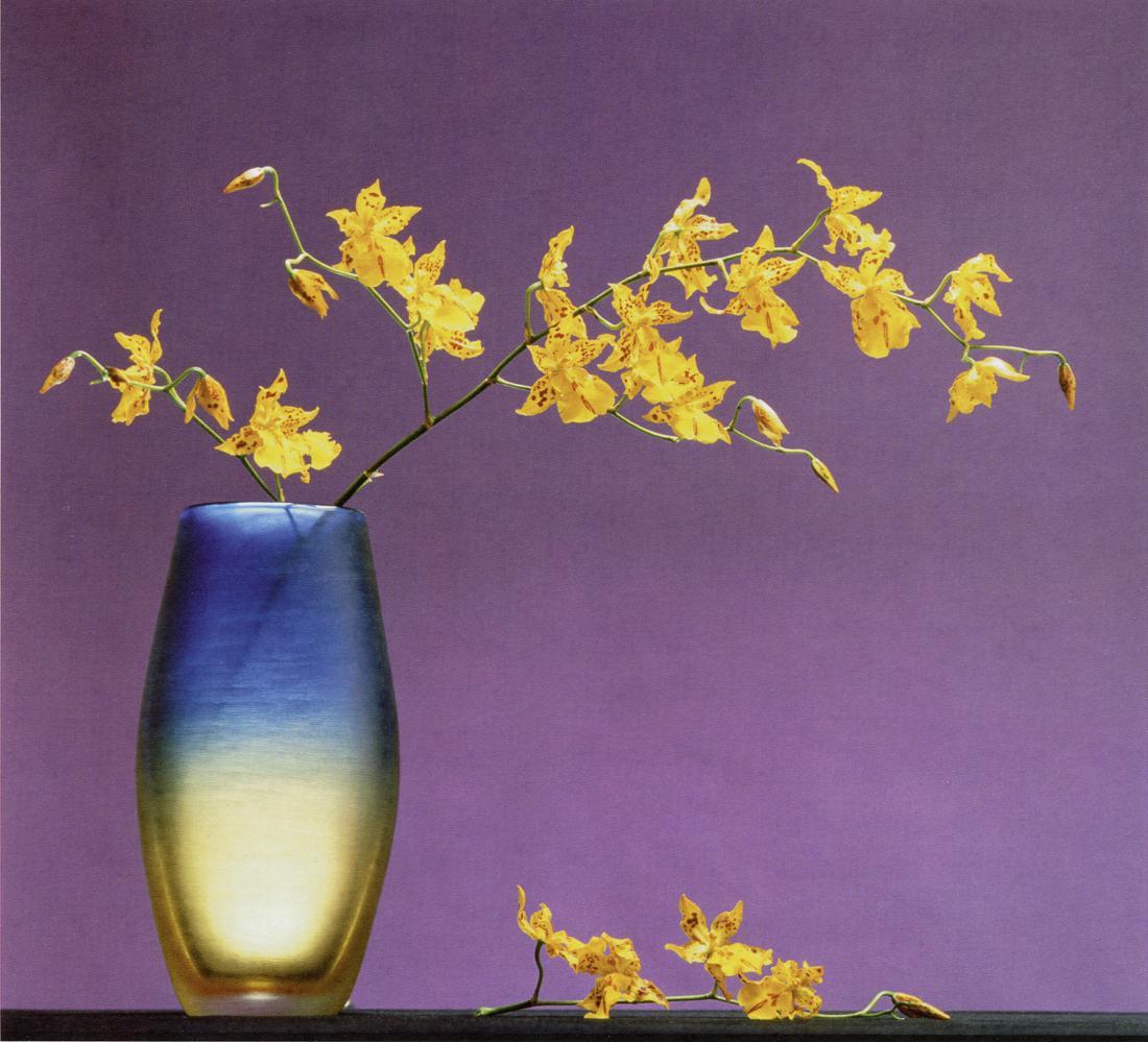 ROBERT MAPPLETHORPE - Flowers In Vase, 1984 (1 of 1)