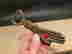 item-128814300=4