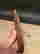 item-128814303=4
