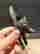 item-128814308=2
