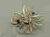 item-128873572=4