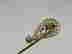 item-128873580=2