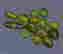 item-128877763=2