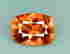 item-128878135=3
