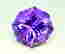 item-128878152=2