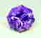 item-128878152=3