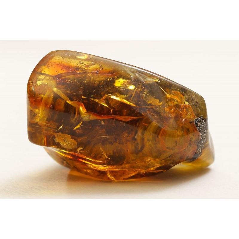 76 g. Natural Baltic amber inclusion Fly (Diptera) (1 of 6)