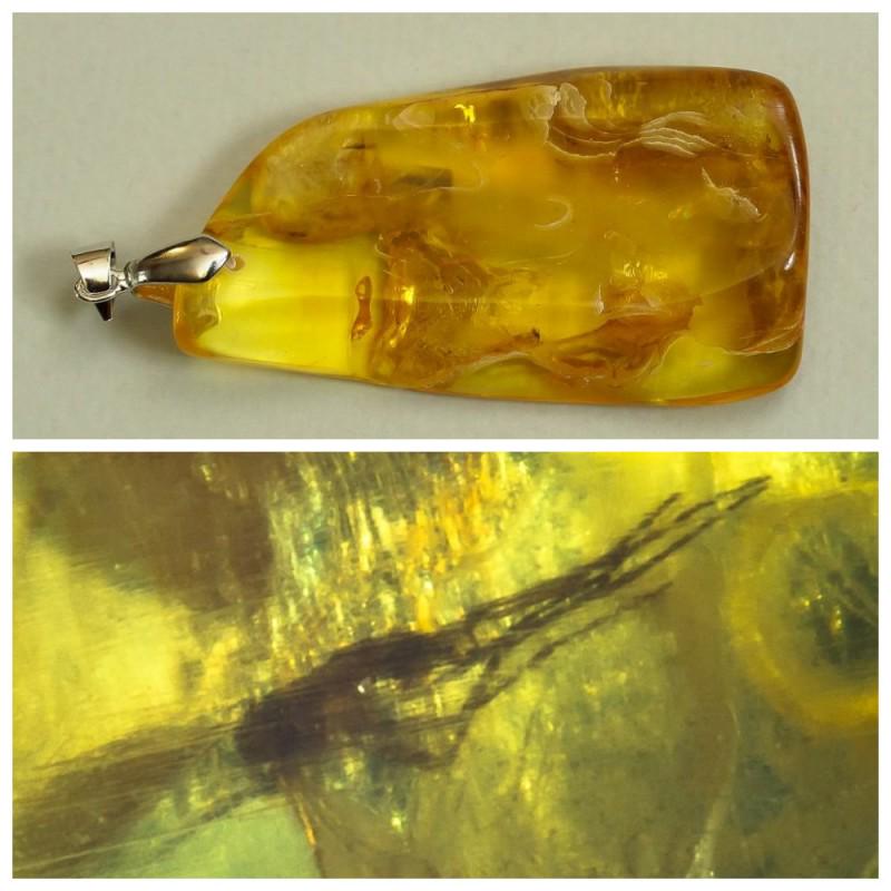 Natural Baltic amber pendant inclusion insects silver 925 (1 of 17)