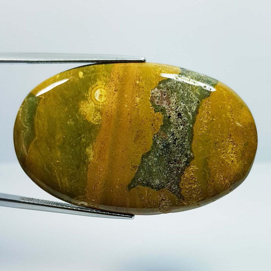 53.33 ct Natural Ocean Jasper: No Reserve! Title: 53.33 ct Natural Ocean Jasper Color/Clarity: Opaque Gemstones: Gemstones Carat Weights: 53.33 Size/Dimensions: 45.50 x 28.60 x 5.00 Additional Info: Oval - Brazil Shipping: Dome