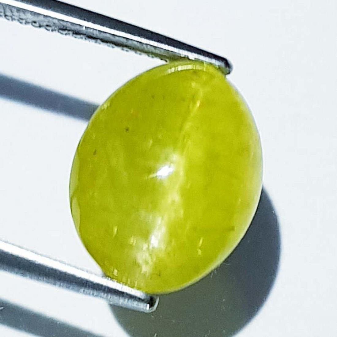 13.02 ct Natural Apatite cat's Eye: No Reserve! Title: 13.02 ct Natural Apatite cat's Eye Color/Clarity: Opaque Gemstones: Loosegemstone Carat Weights: 13.02 Size/Dimensions: 14.40 x 11.30 x 9.30 Additional Info: Oval - Jharkhand Shippi