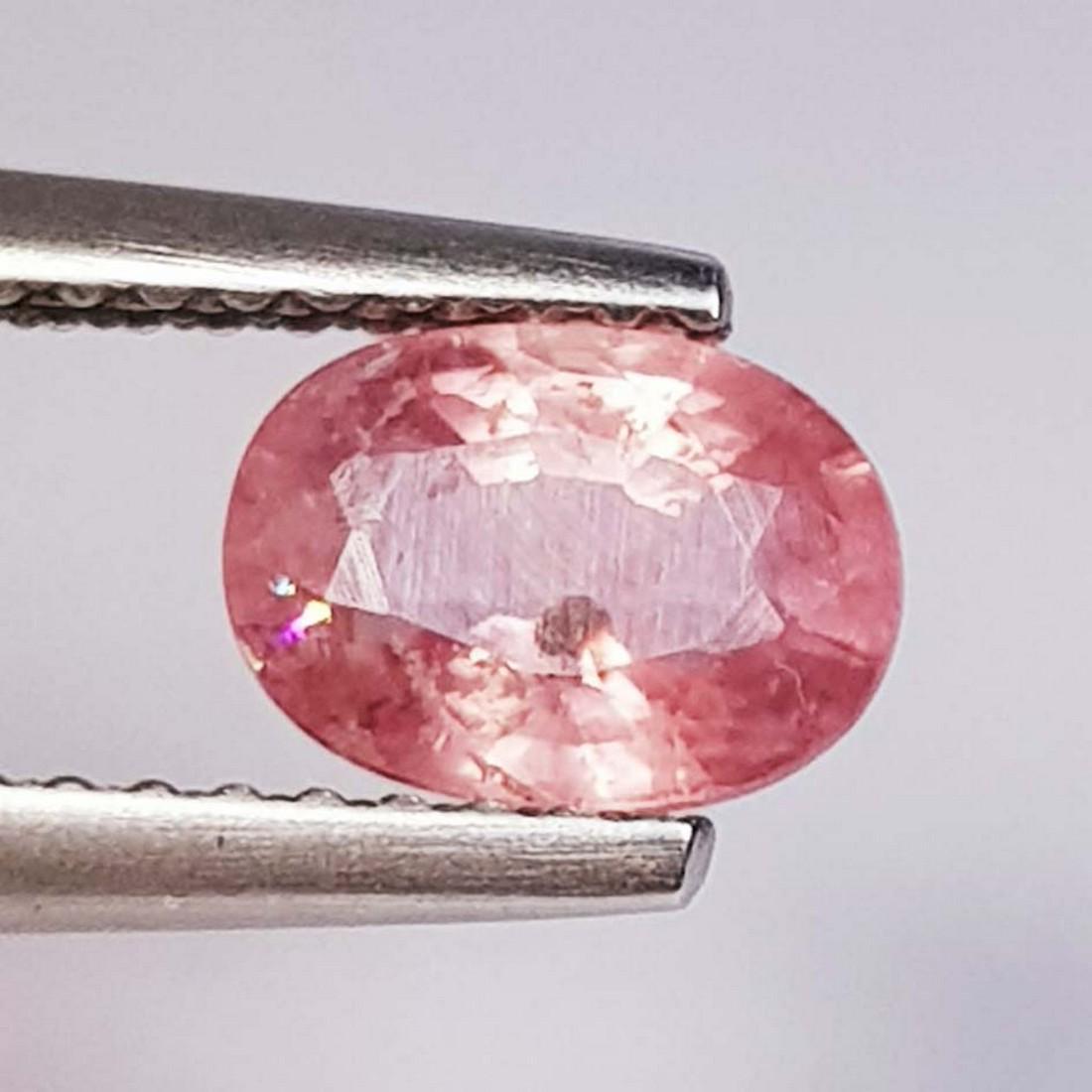 1.26 ct Natural Orange Sapphire: No Reserve! Title: 1.26 ct Natural Orange Sapphire Color/Clarity: Loosegemstone Gemstones: VS Carat Weights: 1.26 Size/Dimensions: 7.00 x 5.00 x 3.50 Additional Info: Oval - Burma Shipping: Domes