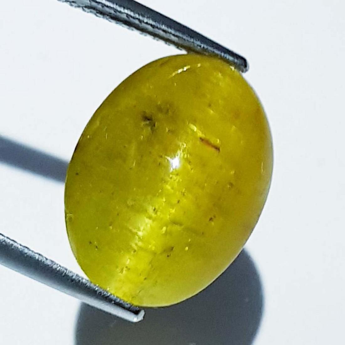 14.65 ct Natural Apatite cat's Eye: No Reserve! Title: 14.65 ct Natural Apatite cat's Eye Color/Clarity: Opaque Gemstones: Loosegemstone Carat Weights: 14.65 Size/Dimensions: 16.60 x 12.50 x 8.90 Additional Info: Oval - Jharkhand Shippi
