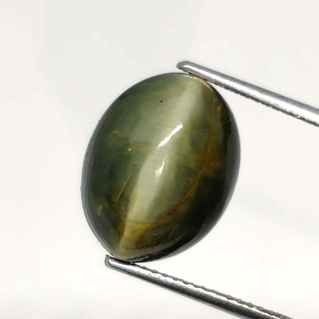 8.70 ct Natural Cat's Eye: No Reserve! Title:8.70 ct Natural Cat's Eye Additional Information:Gemstones: Cat's Eye Carat Weights: 8.70 ct Size/Dimensions: 14 X 11 X 8 mm Materials & Techniques:Cat's Eye Weight Unit:Ct Shipping: