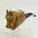 item-129126058=2