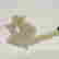 item-129126068=5