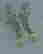 item-129132729=4