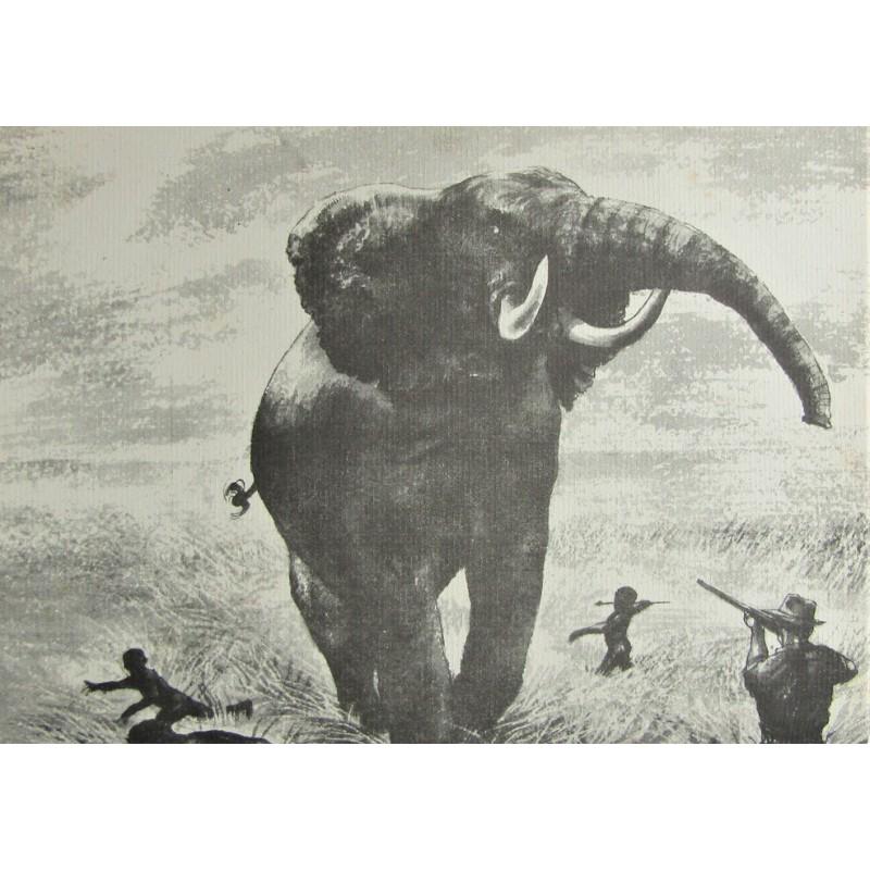 The Wanderings of an Elephant Hunter: Publishers green cloth with gilt title to spine. Name on inside. Frontispiece plate. Full-page illustrations. A very interesting account of a professional ivory hunter's adventures in Africa, hunting 
