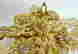 item-129440066=3