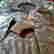 item-129440399=3