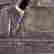 item-129440409=4