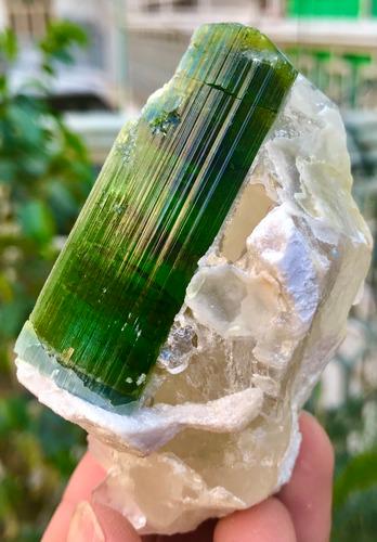 1065 Carats Top Quality Natural & Unheated Green Color Tourmaline Crystal on Quartz (1 of 5)