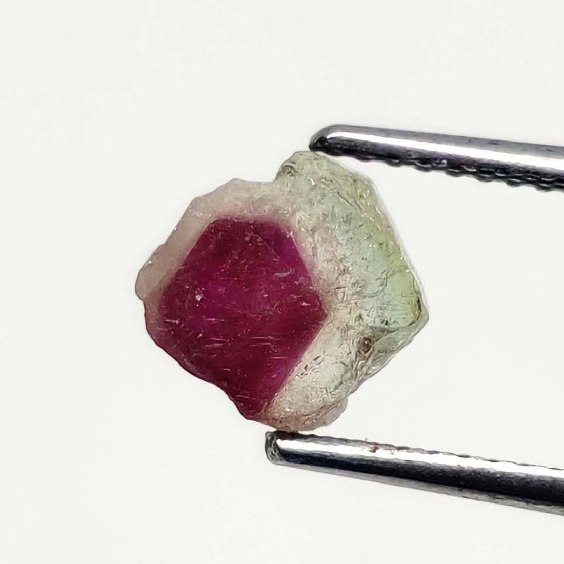1.60 ct Natural Watermelon Bio Tourmaline Slice: No Reserve! Title: 1.60 ct Natural Watermelon Bio Tourmaline Slice Description: Gemstones: Tourmaline Carat Weights: 1.60 ct Size/Dimensions: 7 X 7 mm Gemstone: Tourmaline Weight Unit: Ct Quantity: 1