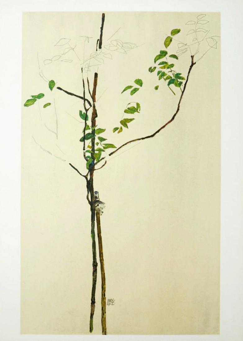 Egon Schiele Lithograph 28 Young Tree 1968 (1 of 1)