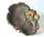 item-129737564=4