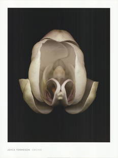 Joyce Tenneson - Orchid - 2004 Offset Lithograph 40" x 30": Lot Title: Joyce Tenneson - Orchid - 2004 Offset Lithograph 40" x 30" Artist: Joyce Tenneson Title: Orchid Description: "Orchid" by Joyce Tenneson, 2004 Unsigned Offset Lithograph. Paper size is 40 x